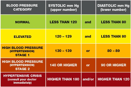 Blood Pressure Estimation Model